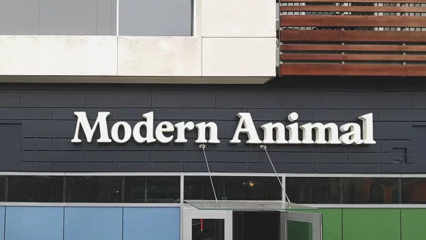 3D Signages - Image 5