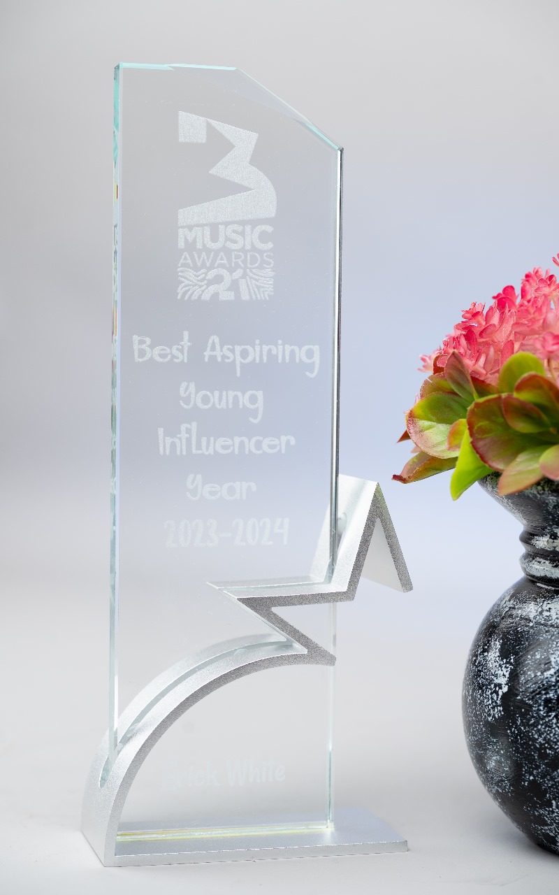 Silver Star Metallic Award