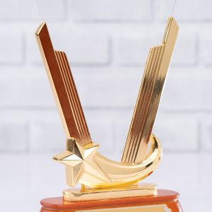 V Shape Executive Award