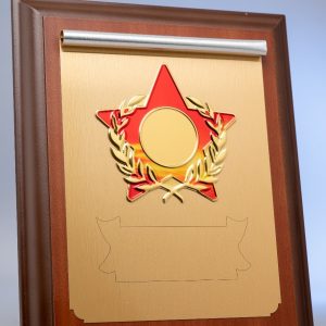 Executive Wooden Award Plaque