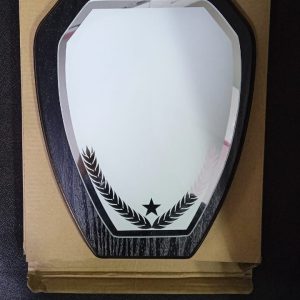 Round Corners Shield Award